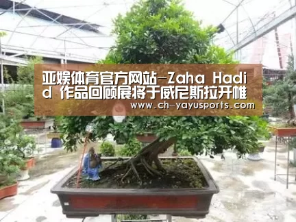 亚娱体育官方网站-Zaha Hadid 作品回顾展将于威尼斯拉开帷幕(图3) 亚娱体育官方网站