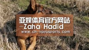 亚娱体育官方网站-Zaha Hadid 